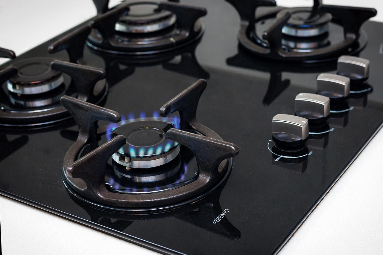 manya group industries lpg stove