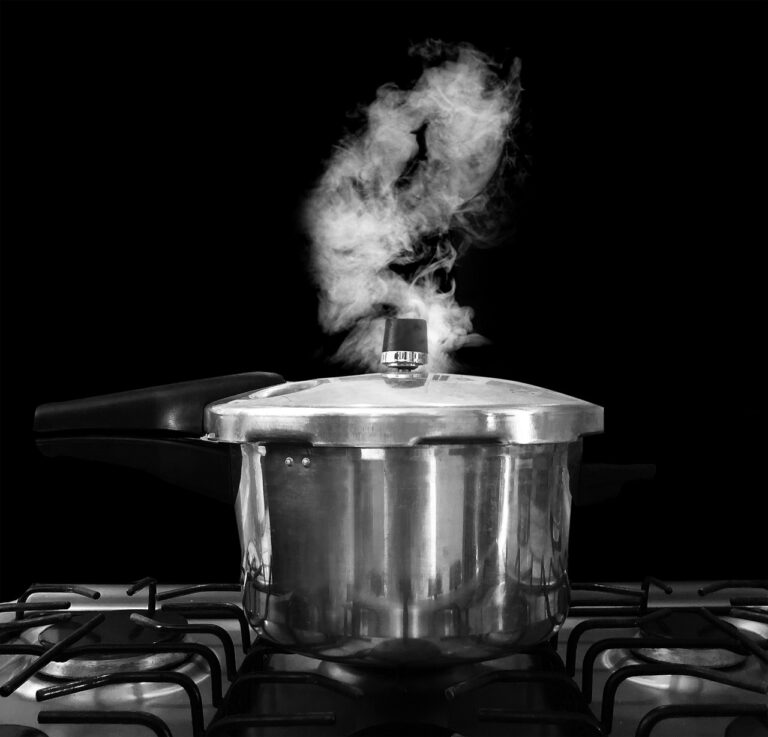 pressure cooker manya group industries